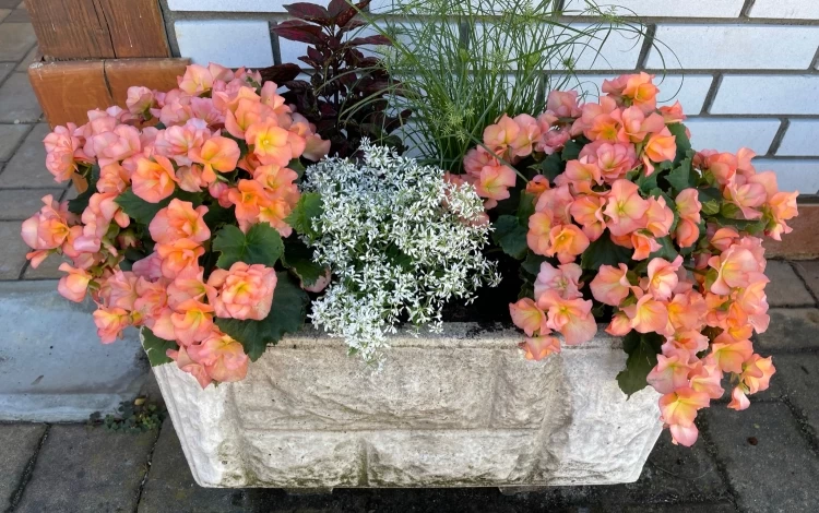 blog-107